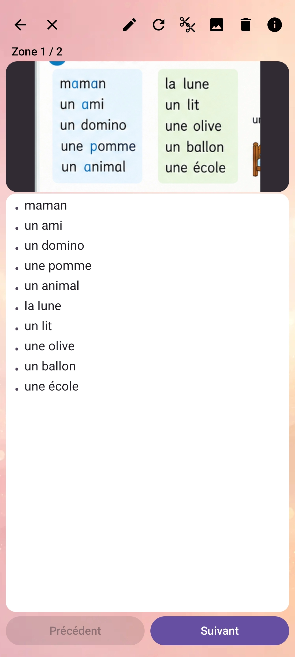 Première zone reconnue : mots détectés dans le passage sélectionné.